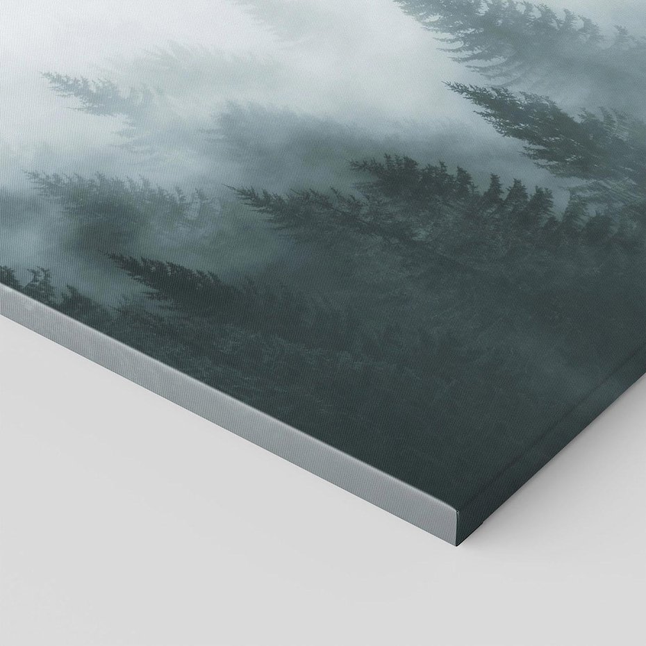 Obraz na płótnie 120x80 - Las w Mgłe - las, we