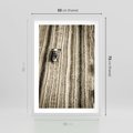 Plakat w ramie 50x70 - Sepia na Polu - kombajn, pole - rama biała
