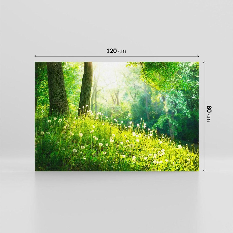 Obraz na płótnie 120x80 - Urok natury - magiczny las na płótnie - las, trawa