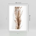 Plakat w ramie 50x70 - Minimalizm Palmowy: Sucha Uroda - sucha palma, minimalizm - rama biała