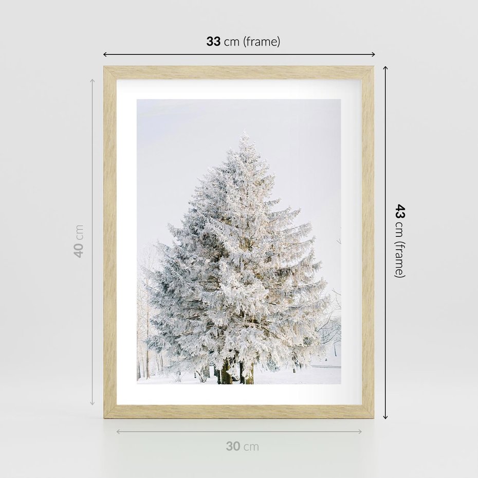 Plakat w ramie 30x40 - Zimowa Poezja w Ośnieżonym Drzewie - ośnieżone drzewo, zima - rama drewno
