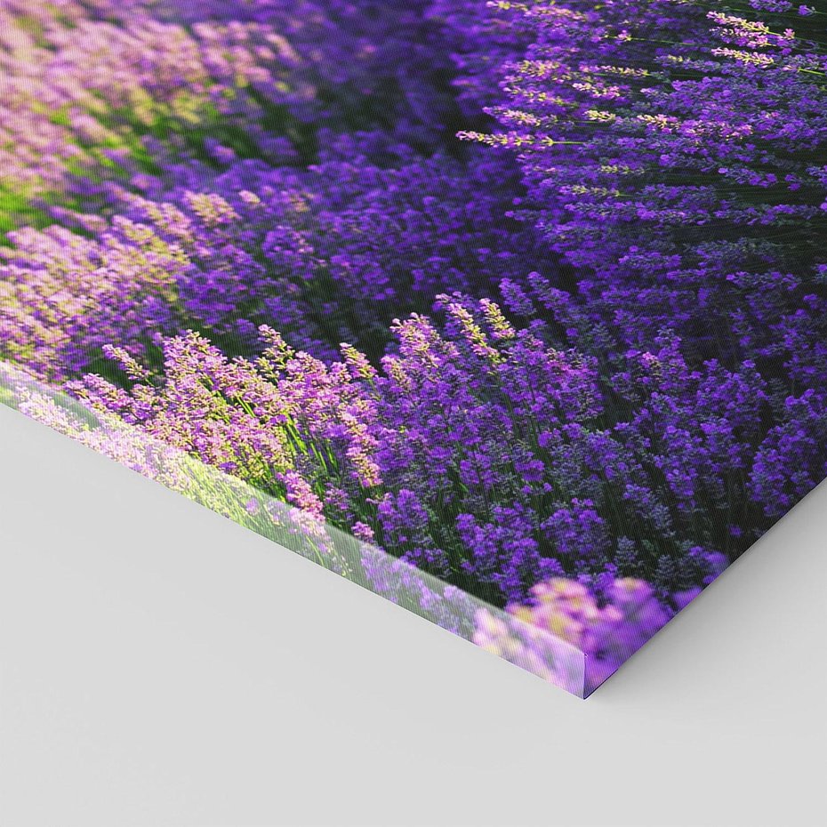 Obraz na płótnie 120x60 - Malownicze Pole Lawendy - lawenda, pole