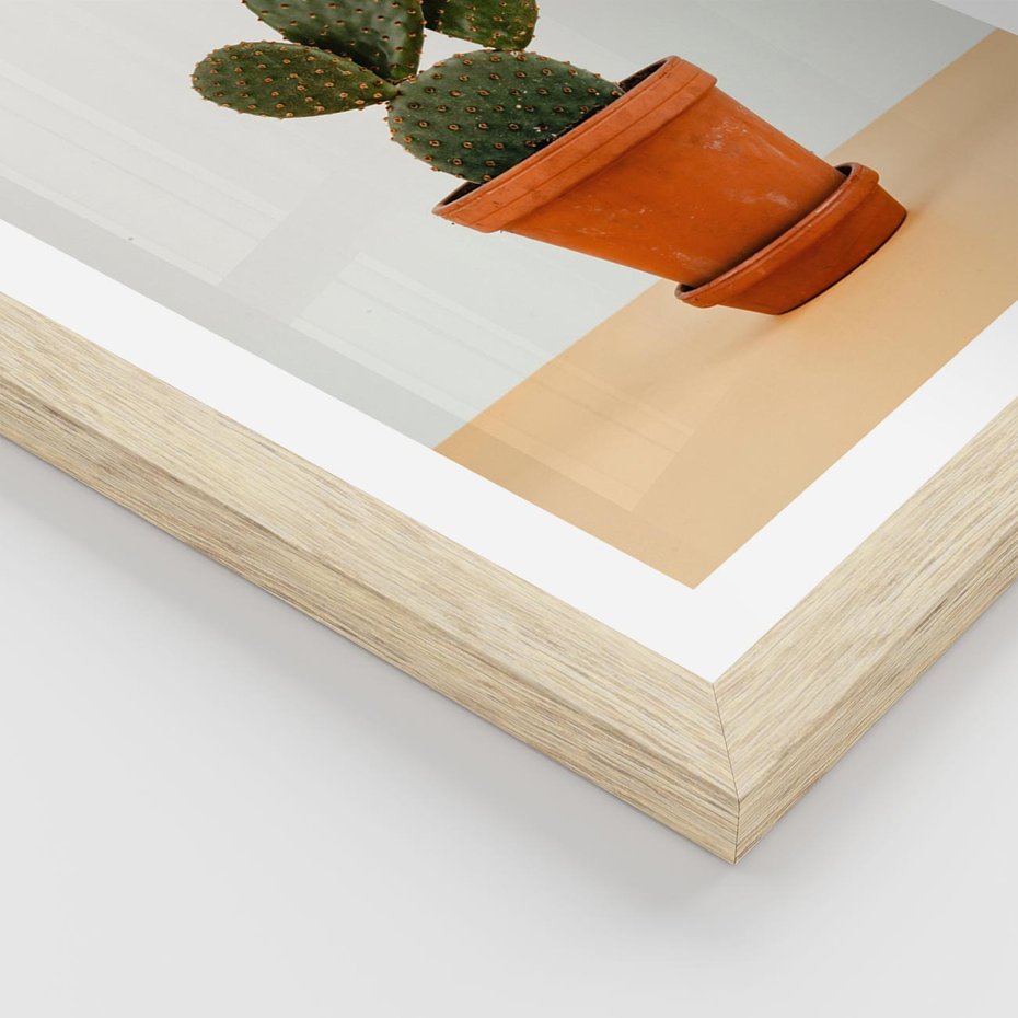 Plakat w ramie 30x40 - Kwiatowy taniec kaktusa - kaktus, kwiat - rama drewno