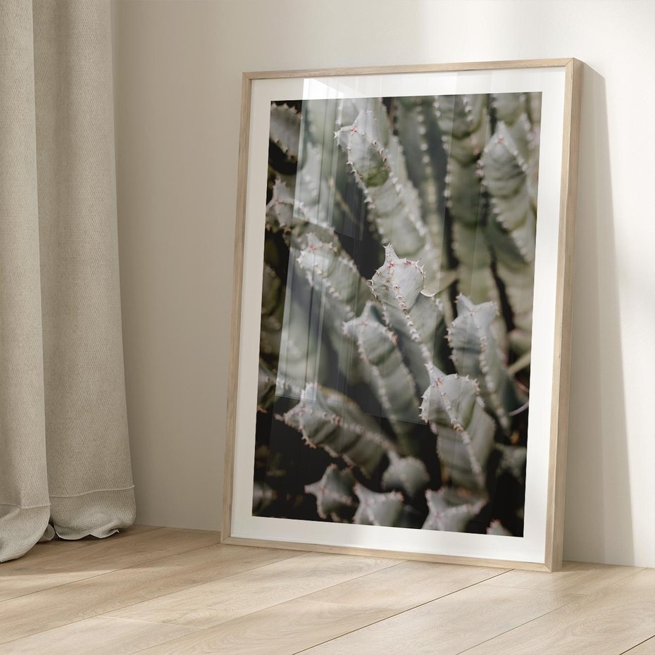 Plakat w ramie 50x70 - Oaza Natury - sukulenty, kaktusy - rama drewno