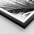 Plakat w ramie 40x50 - Sztuka Natury: Monochromatyczna Palma - palma, czarno białe zdjęcie - rama czarna