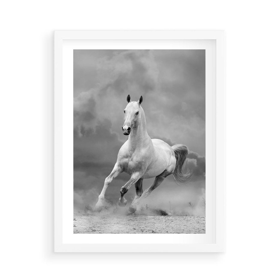 Plakat w ramie 50x70 - Elegancja w Czarno-Białym - koń, biało - rama biała