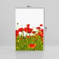 Obraz na płótnie 80x120 - Bujne maki na malowniczej łące - mak, maki