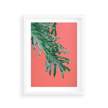 Plakat w ramie 40x50 - Energetyczna Eksplozja Natury - liście, kolor - rama biała