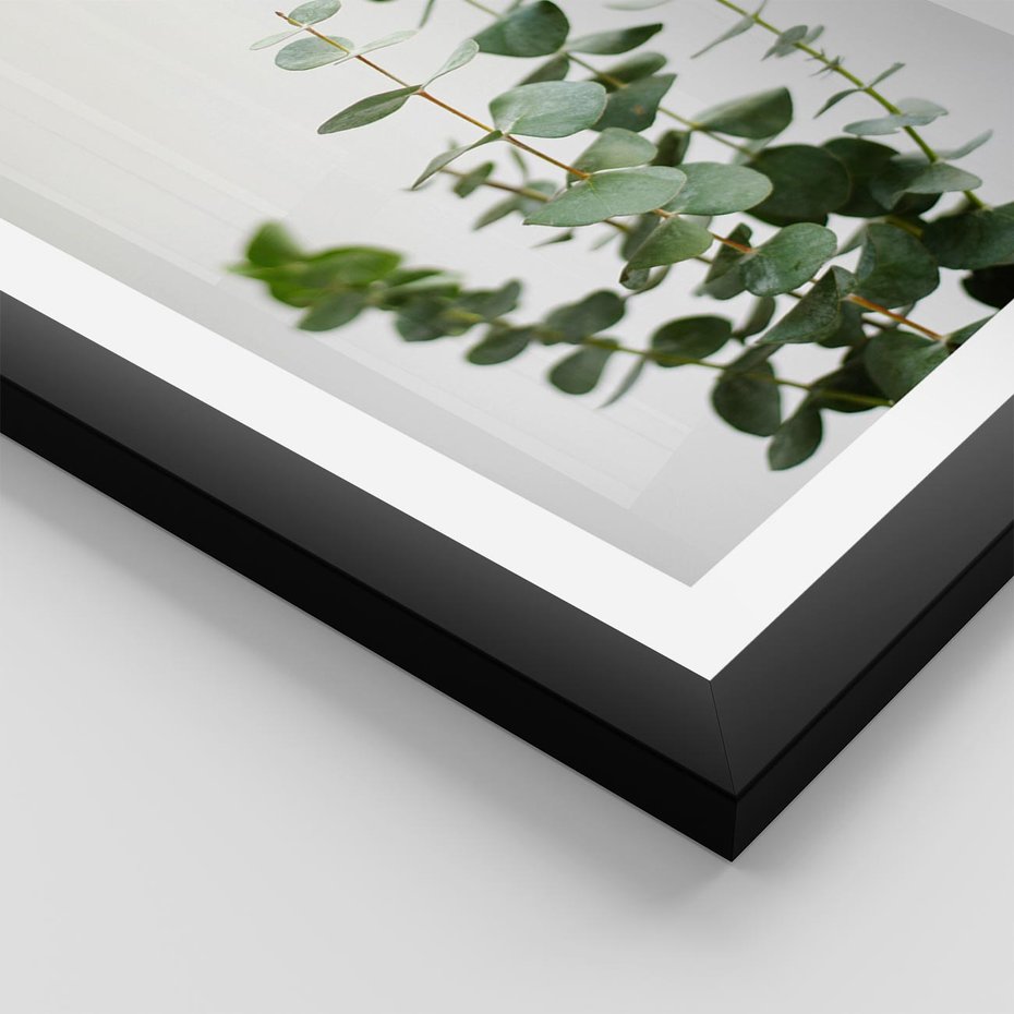 Plakat w ramie 30x40 - Żywa eukaliptusowa zieleń - eukaliptus, zielone - rama czarna