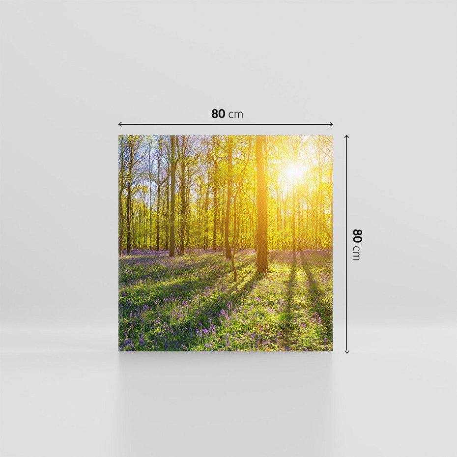 Obraz na płótnie 80x80 - Uroda lasu: harmonia drzew - las, drzewa