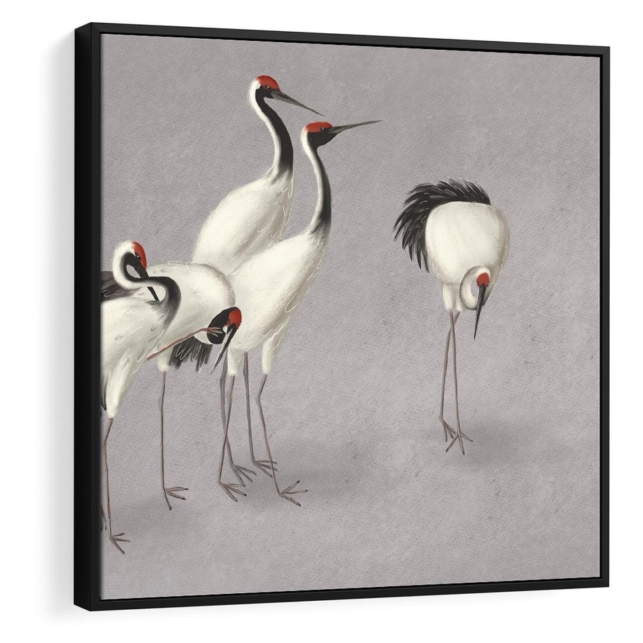 Obraz w ramie 50x50 - Spojrzenie wstecz w pędzlu - szkic rysunek, japońskie żurawie - rama czarna
