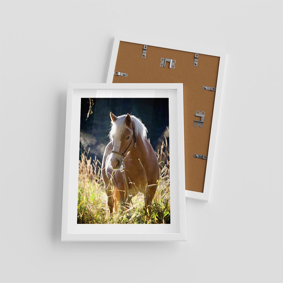 Plakat w ramie 30x40 - Spotkanie konia na łące - koń, łąka - rama biała