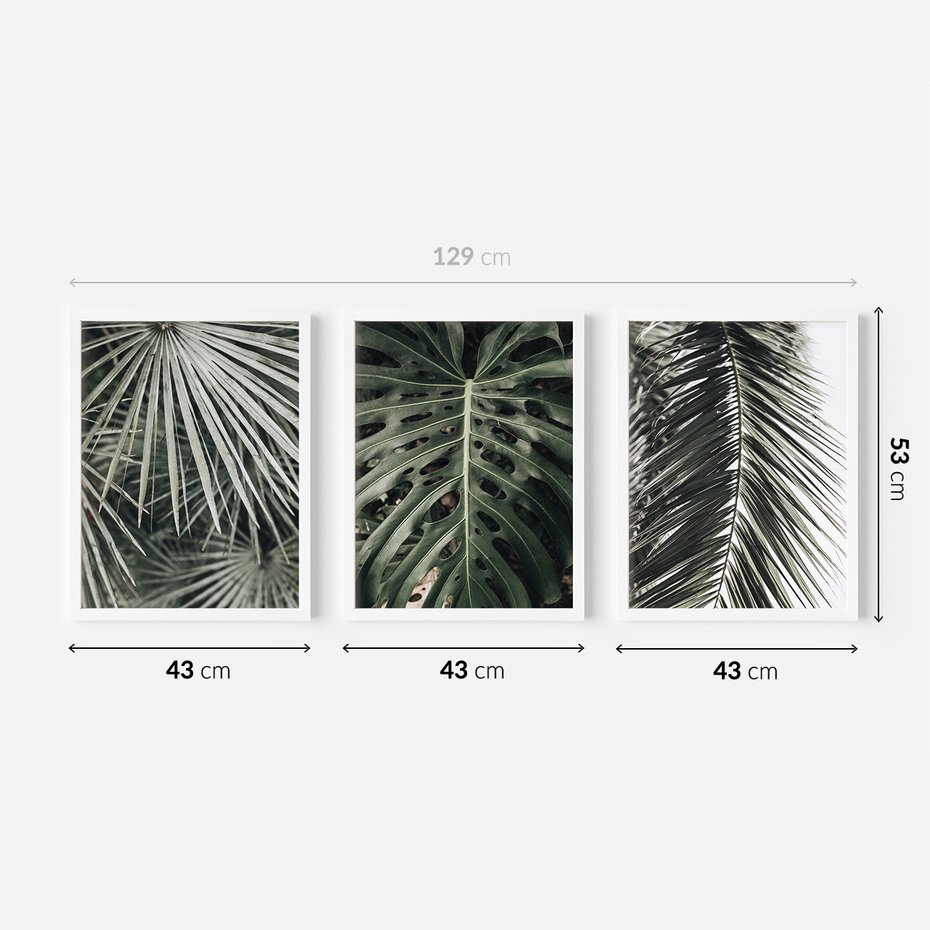 Zestaw obrazy w ramie 40x50 galeria - Liście, palmy, monstery - rama biała