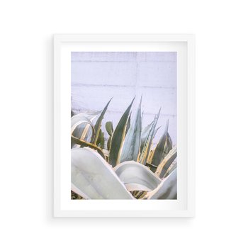 Plakat w ramie 30x40 - Sukulentowe liście - liście, sukulenty - rama biała