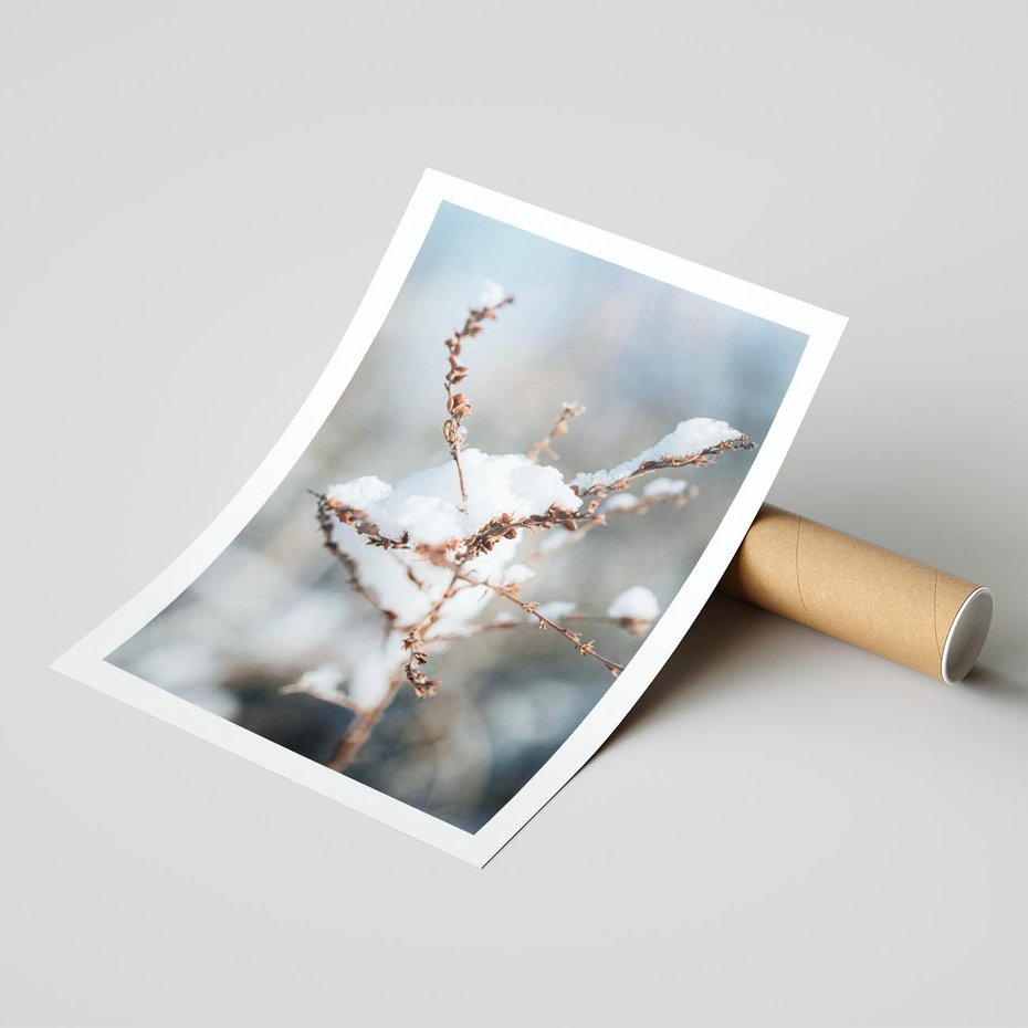 Plakat bez ramy 30x40 - Zimowy Urok Natury - gałązki pod śniegiem, natura