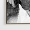 Obraz w ramie 70x50 - Spotkanie Mądrości - fotografia czarno biała, dwa słonie - rama drewno