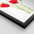 Plakat w ramie 50x70 - Pola maków w pełnym kolorze - maki, kwiaty - rama czarna