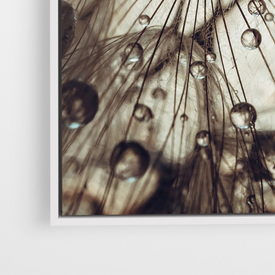 Obraz w ramie 70x100 - Lekkie dmuchawce - dmuchawce, krople - rama biała