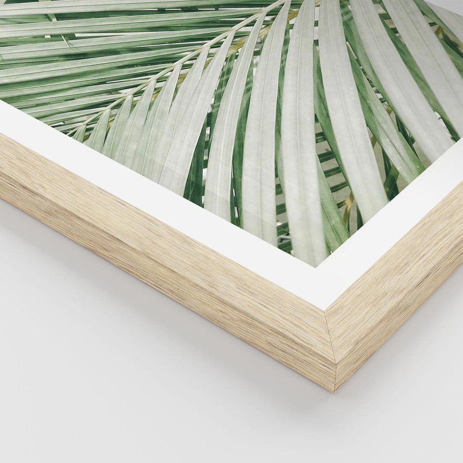 Plakat w ramie 40x50 - Liście Palmy: Egzotyczna Grafika - palma, liście palmy - rama drewno
