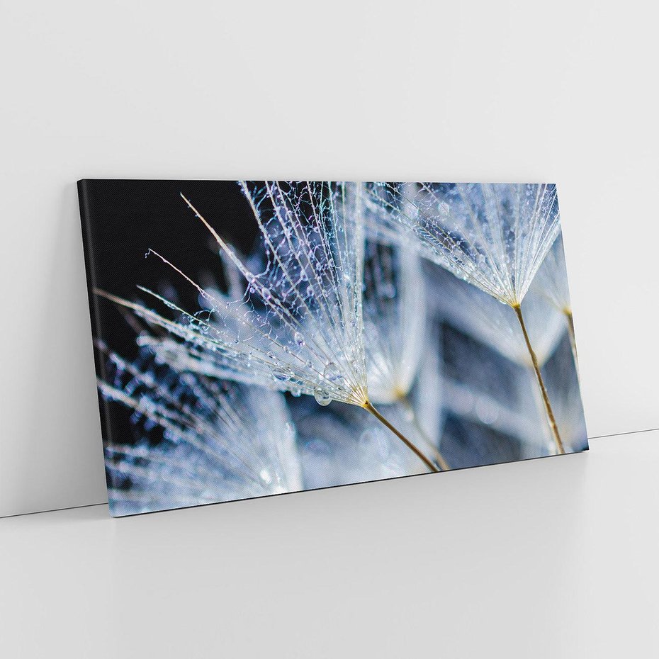 Obraz na płótnie 120x60 - Makro piękno dmuchawców - makro, dmuchawce