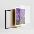Plakat w ramie 30x40 - Urok lawendy - lawenda, kwiaty - rama czarna