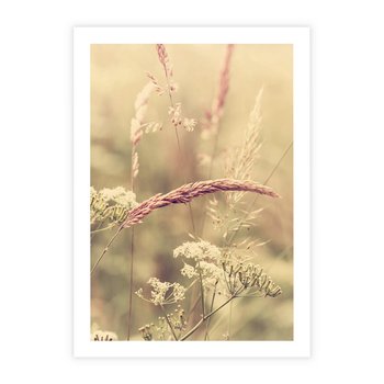 Plakat bez ramy 40x50 - Boho Wizja - suszone, trawy