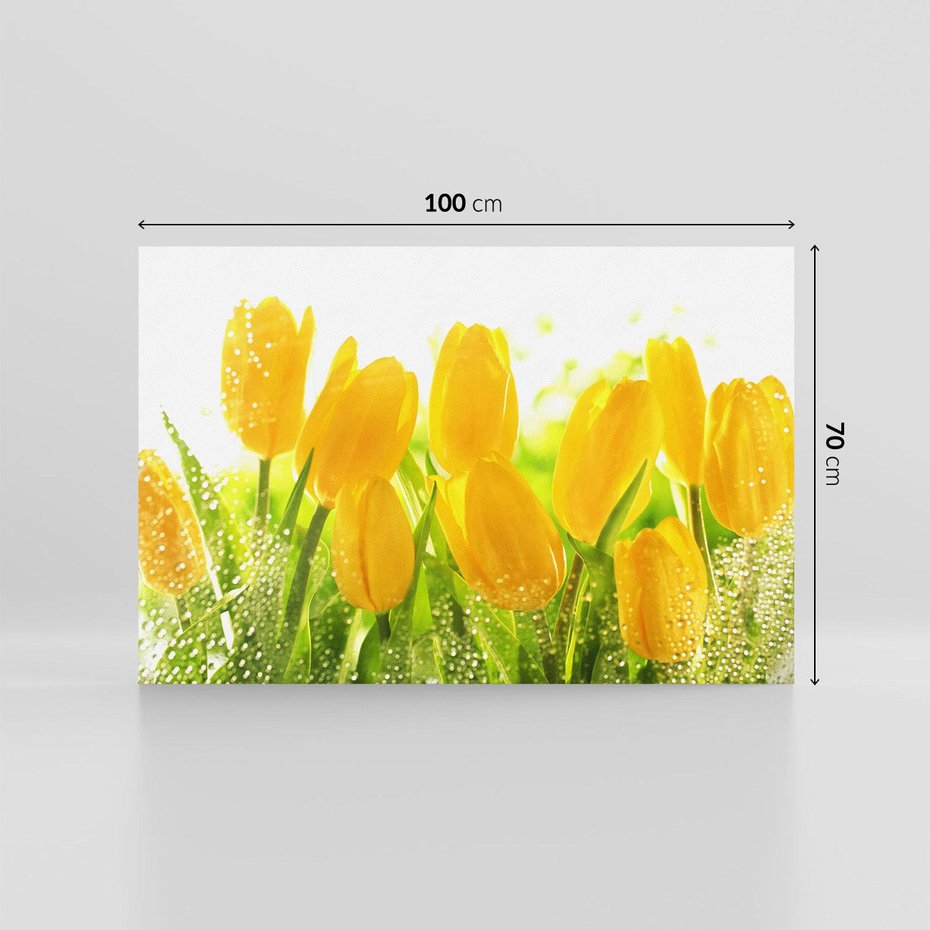 Obraz na płótnie 100x70 - Tulipany - szczyt kwiatowego piękna - tulipany, kwiaty