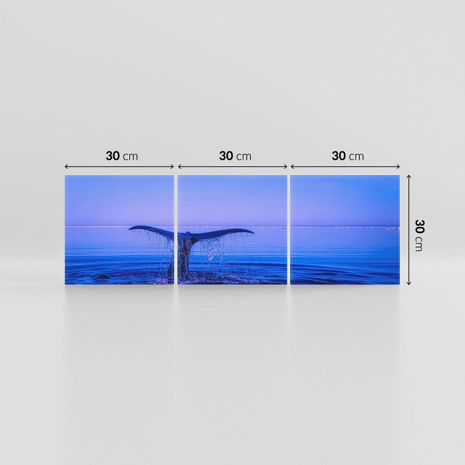 Obraz na płótnie 90x30 - Morze, fale i skały - wieloryb, morze