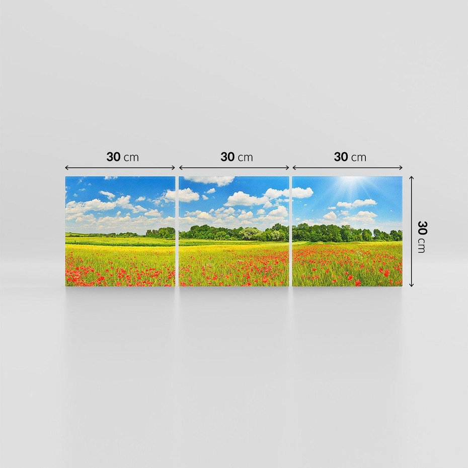 Obraz na płótnie 90x30 - Malownicze maki na łące - maki, łąka