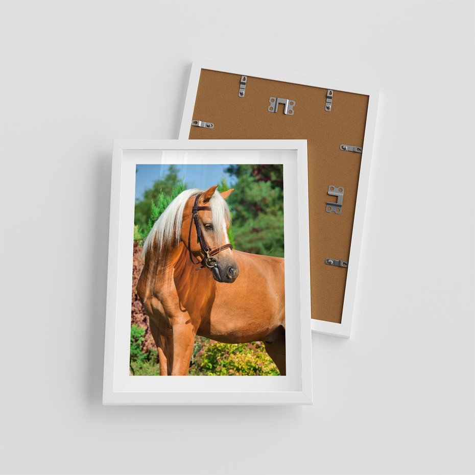 Plakat w ramie 30x40 - Elegancki wierzchowiec - koń, portret - rama biała