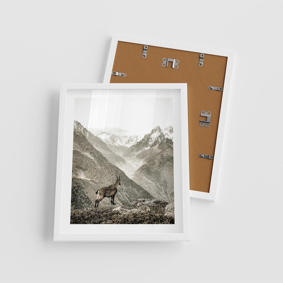 Plakat w ramie 40x50 - Dzikie Piękno: Kozica w Malowniczym Górskim Scenerii - kozica, góry - rama biała