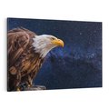 Obraz na płótnie 70x50 - Orzeł w niebieskiej przestrzeni - orzeł, ptak