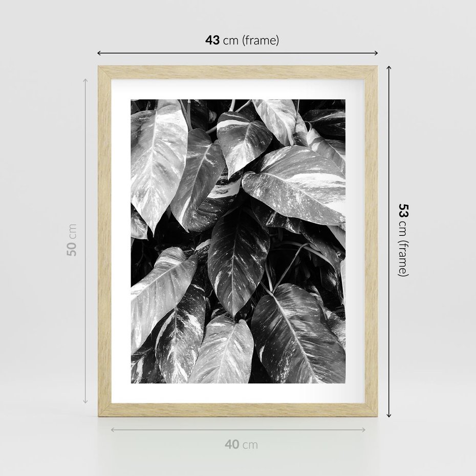Plakat w ramie 40x50 - Liście w Czarno-Białej Fotografii - liście, roślina - rama drewno