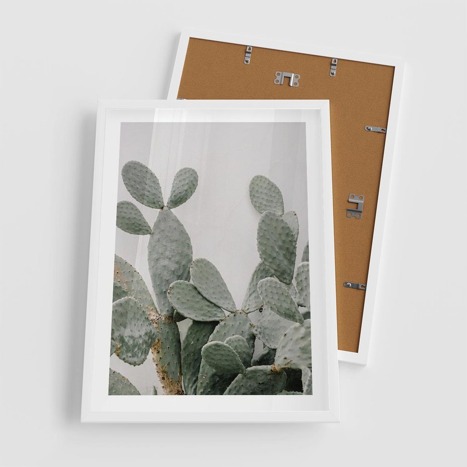 Plakat w ramie 50x70 - Imponujący Kaktus - duży kaktus, opuncja - rama biała
