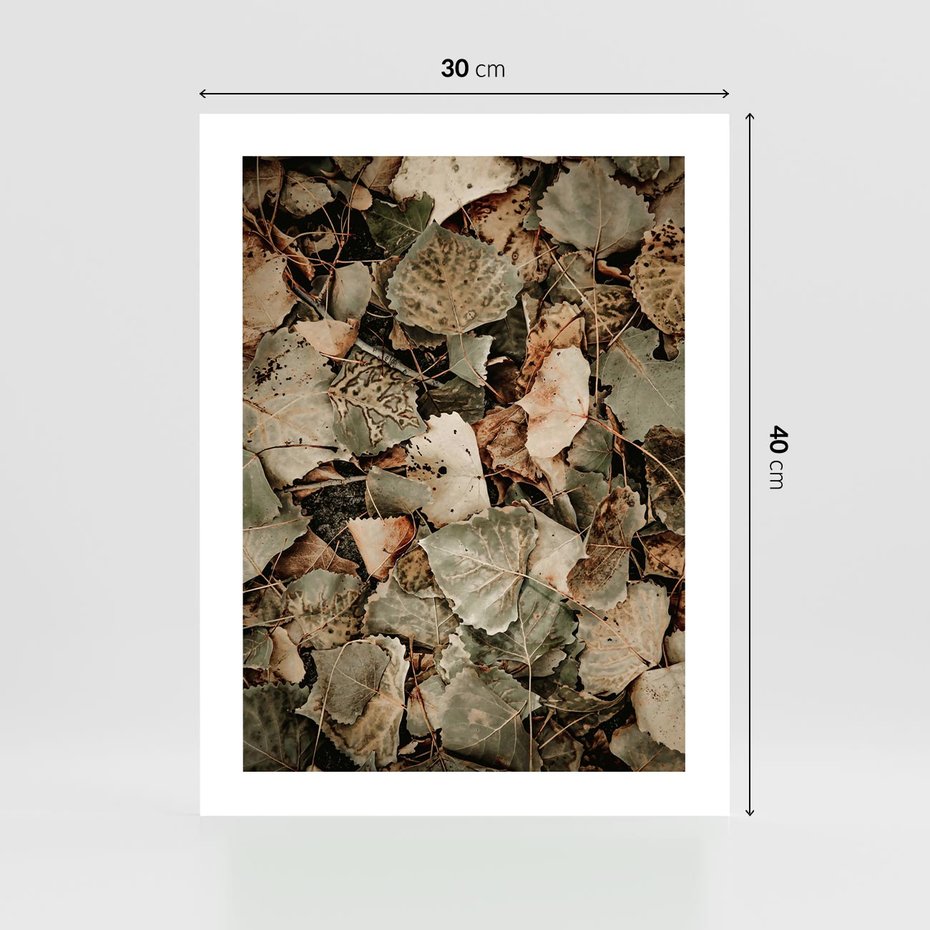 Plakat bez ramy 30x40 - Magia Jesiennych Liści - liście, suche liście
