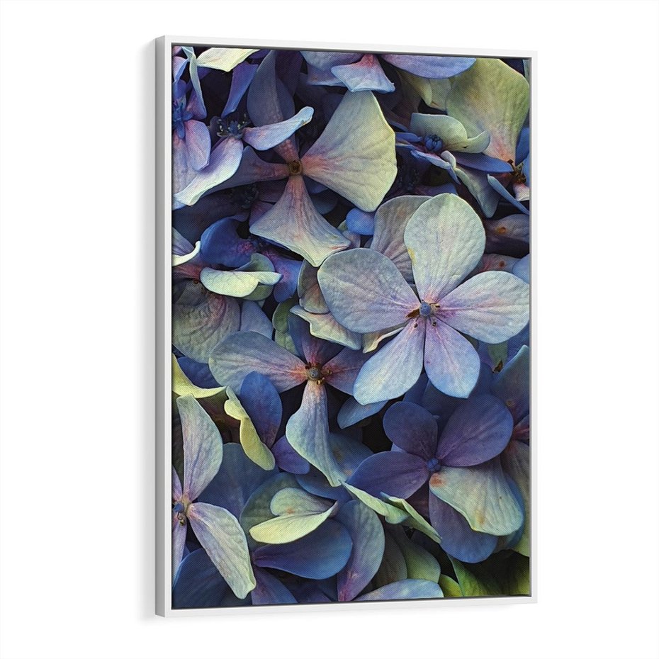 Obraz w ramie 80x120 - Hortensja - delikatność kwiatów - hortensja, kwiaty - rama biała