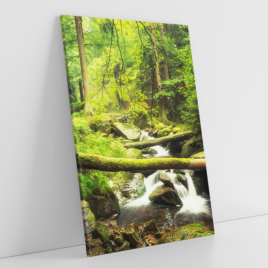 Obraz na płótnie 80x120 - Magiczny Strumień w Lesie - strumień, las