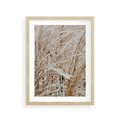 Plakat w ramie 30x40 - Beżowa Trawa - suche trawy, zbliżenie - rama drewno