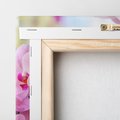 Obraz na płótnie 30x30 - Elegancja orchidei - orchidea, kwiaty