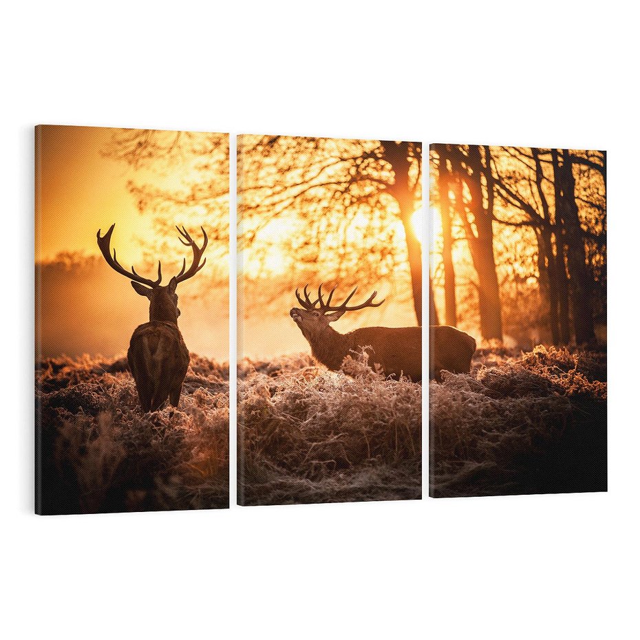 Obraz na płótnie 120x80 - Jeleń w lesie: Spotkanie w dziczy - jeleń, jelenie