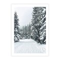 Plakat bez ramy 21x30 - Magia Zimy na Obrazie - las, zima