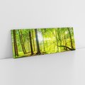 Obraz na płótnie 120x40 - Las w pełnym rozkwicie - las, drzewa