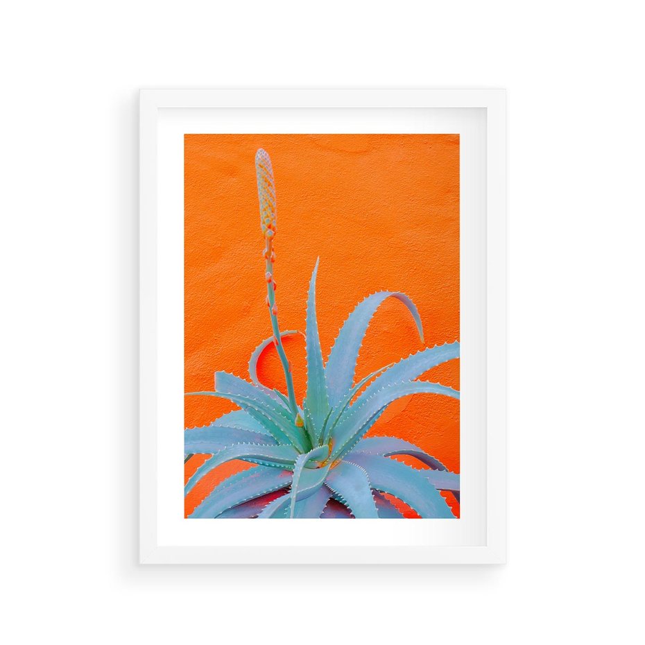 Plakat w ramie 30x40 - Naturalna Harmonia - kaktusy, liście - rama biała