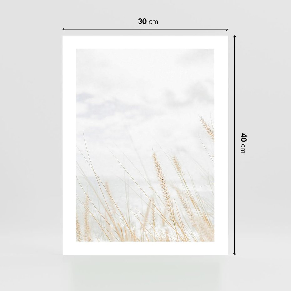 Plakat bez ramy 30x40 - Jasna Delikatność: Fotografia Suchych Traw - suche trawy, jasna fotografia