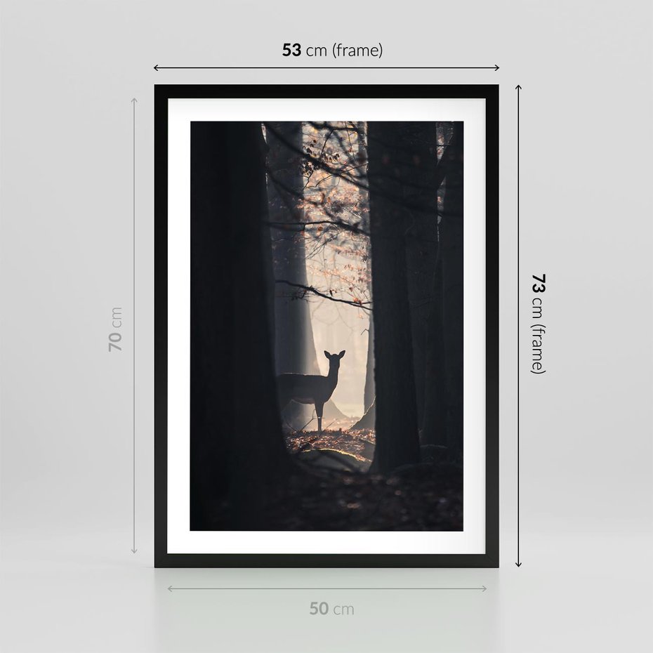 Plakat w ramie 50x70 - Sarnie Skoki - zdjęcie, klimatyczny las - rama czarna