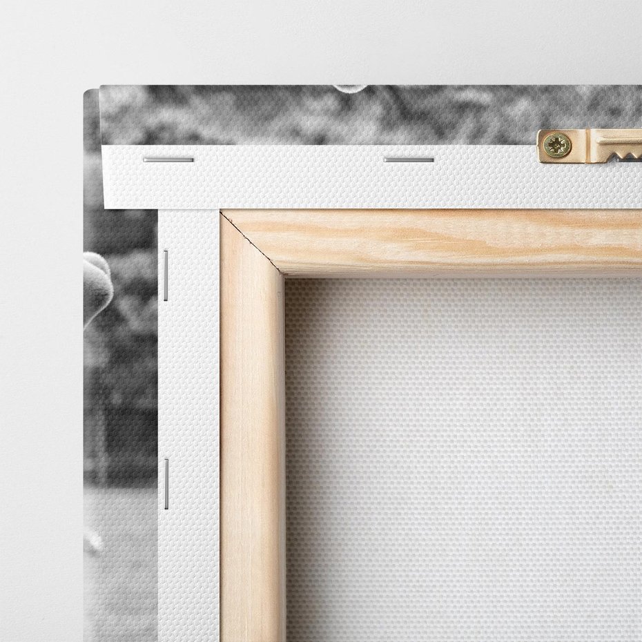 Obraz na płótnie 100x70 - Przygubione motyle marzeń - fotografia czarno biała, młody jeleń w zagrodzie