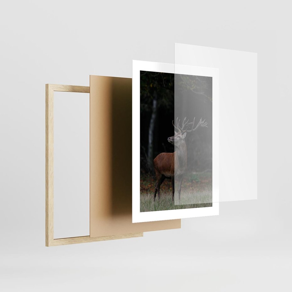 Plakat w ramie 30x40 - Spotkanie z naturą - jeleń, las - rama drewno