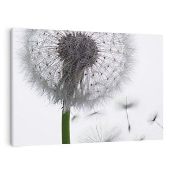 Obraz na płótnie 120x80 - Lekkość Przemijania - dmuchawiec, makro