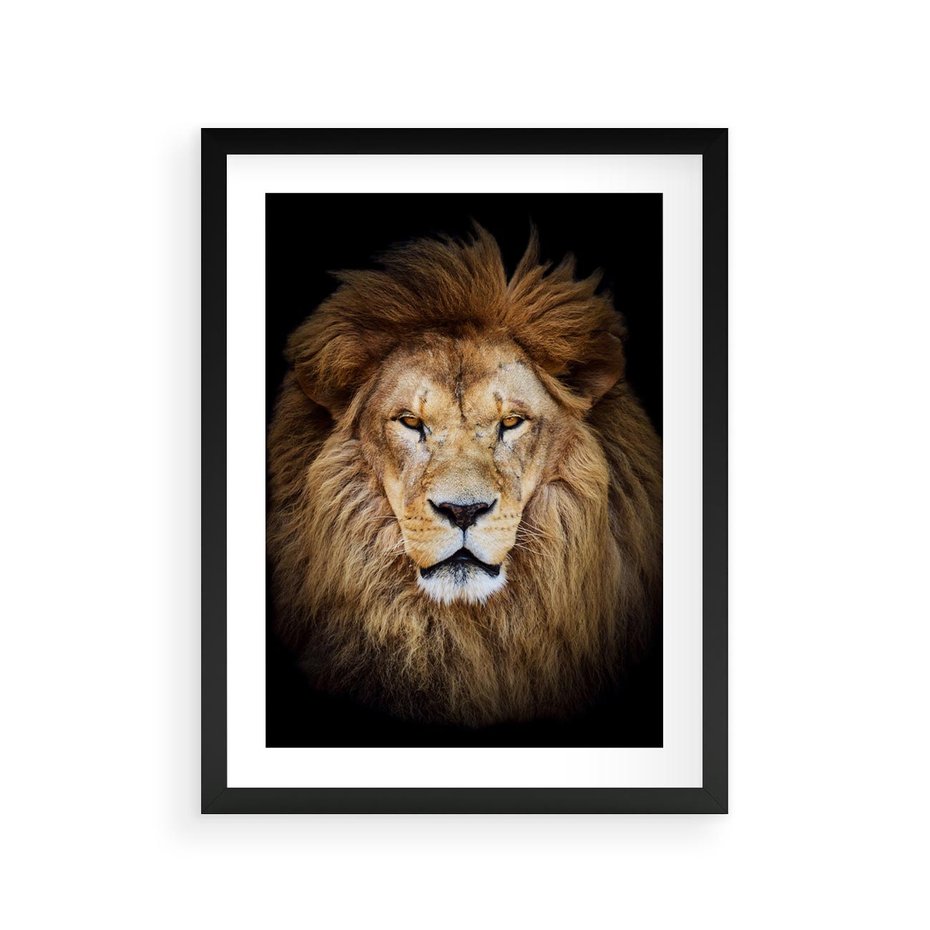Plakat w ramie 30x40 - Król zwierząt w majestatycznym stylu - lew, król - rama czarna