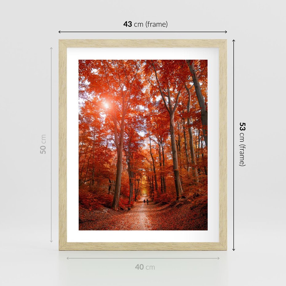 Plakat w ramie 40x50 - Magia jesiennego lasu - las, jesień - rama drewno
